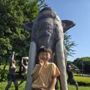 문화가 있는 날 [함께 걷는 공연 나들이] 2회차 안양검무정기공연 | 전곡선사박물관 완벽 가이드 | 30만년 전 타임머신 여행 후기 (입장료, 주차, 구석기축제 정보 총정리) 🦴