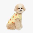 옐로우 이미지