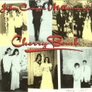 Cherry Bomb (John Mellencamp) 이미지