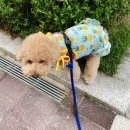 유락반점