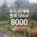 봉암동수원지입구 이미지