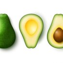 와이디짐 이미지