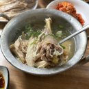 진미닭곰탕 - 영암군 영산로 24-1 | 남대문시장 닭곰탕 맛집 닭진미강원집 아빠 단골 노포 후기