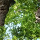 김문수 출격! 김문수 당대표, 전한길 최고위원! 가슴이 웅장해진다~~~ㅋㅋㅋㅋ 이미지