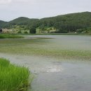 창녕 팔락정 네이버블로그