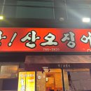 오징어짱이야