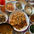 독지리 | 화성 전곡항 차박 후기,탄도항 정보