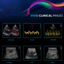 유구동물병원 이미지