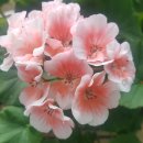 수윤농장 이미지