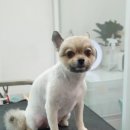 그 남자의 grooming # 공간 이미지