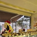 동아프라자아메이드 | 한스 영통점 방문 후기 / 조용한 대화가 가능한 영통 카페 ,말차케이크 맛집