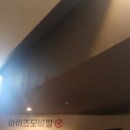 (2024-12-25 성탄절!!) 현빈 아저씨 나오는 하얼빈 영화 리뷰!