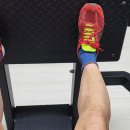 코아루이지움 이미지