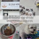개들의대모 수제간식 | 대구강아지수제간식 비산동 링고네식탁 반려동물 네이버스토어 애견간식 추천