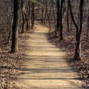 구미초교 이미지