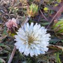 영하 8도No.47＜시그널 있음＞ 이미지