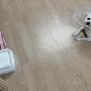 배고픈 모찌 이미지