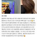 그루비살롱붙임머리