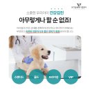 신제주동물병원