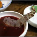 돌회집