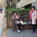 치유의 시와 음악인문학 이미지