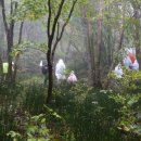 아리바우길 이미지