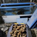 피아노펜션 이미지