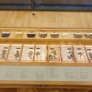 춘원당한의약박물관 이미지