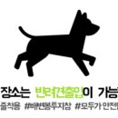 쇼펫 네이버블로그