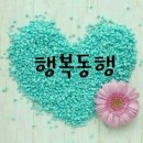 레크박사 이미지