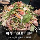 주정차032 | 청라오리고기 맛집 나꼬꼬너오리에서 산더미오리불고기 먹고 온 후기