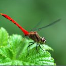 숲속이야기 이미지