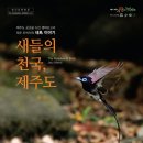 새들의천국 이미지