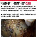 [해핑] 박근혜의 '불량식품' 정책 이미지