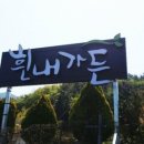 흰내