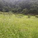 산척면사무소 이미지