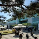 2026 대구 레몬뮤직페스티벌 후기, 달서아트센터 야외 F&amp;B 플리마켓