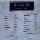 살롱벨르 이미지
