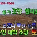 정상 조망권 이미지