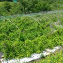 통큰농장 이미지