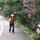 태조산주유소 이미지