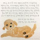캔츄 이미지