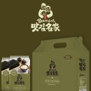 정성디자인 티스토리