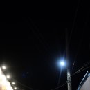 등푸른수산