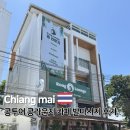카페콩투어 | 태국 치앙마이 자유여행 님만해민 콩투어 콩라운지 감성 카페 발마사지 후기