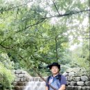 금평 농장 이미지