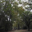 서울대학교 농업생명과학대학 이미지