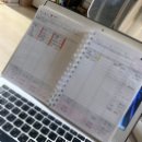 조신한돼지 | 9월 첫째주 일상·다이소·쿠팡 쇼핑템 간단후기💸 내돈내산