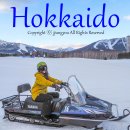 2019-주079 | 홋카이도 여행 호시노리조트 토마무의 핵꿀잼 겨울 액티비티(스키+버기투어+스노모빌+바나나보트)