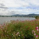 낙동강변7 이미지